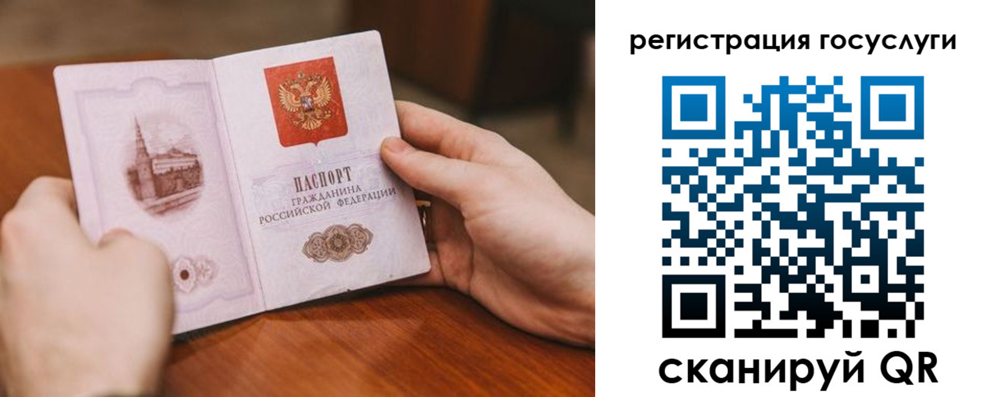 прописка поиск в Кандалакше
